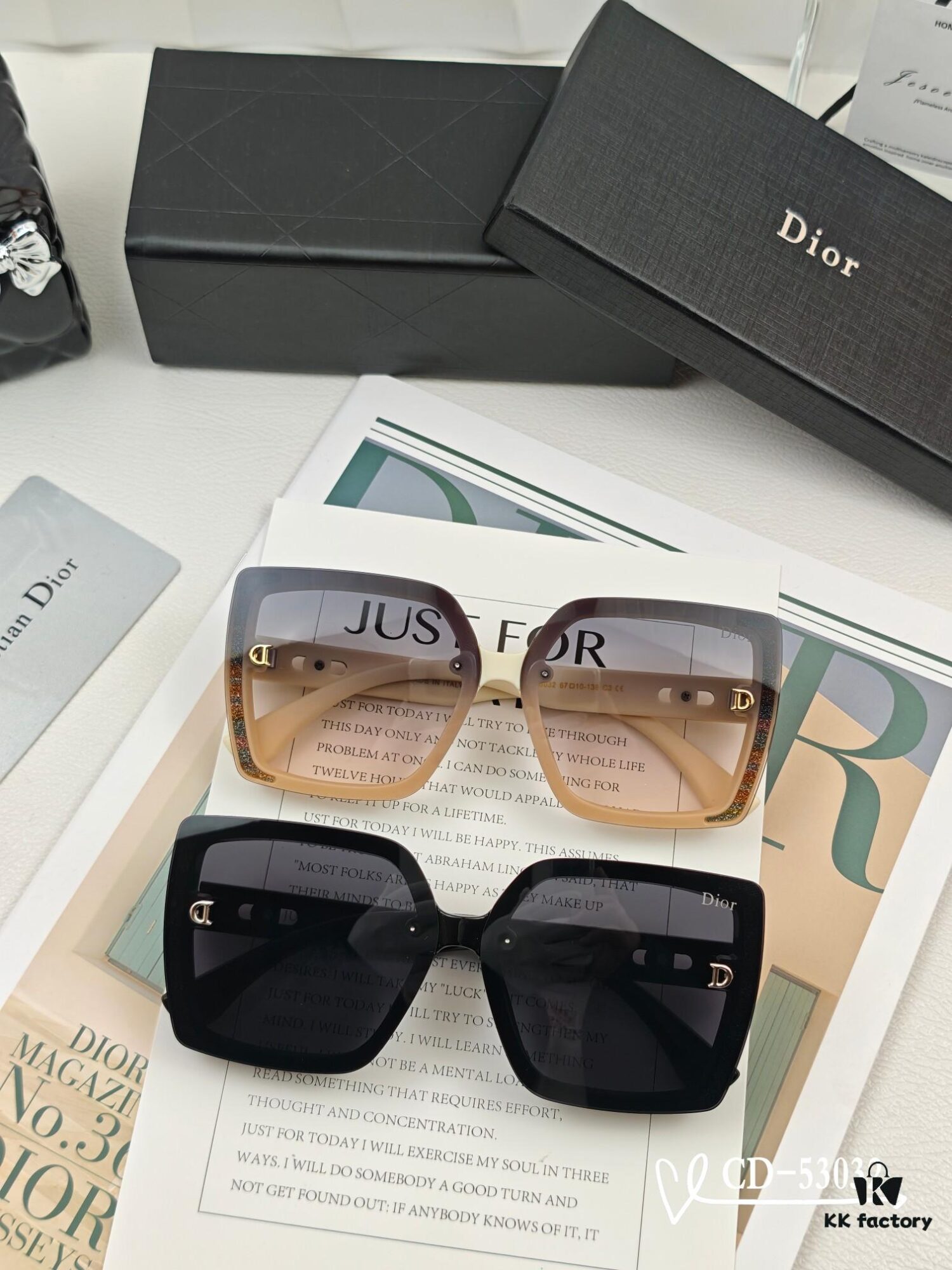 DIOR France | Polarized Sunglasses with TR90 Frame and Plutonite Lenses, Lightweight Comfortable Wear, Model: 53032