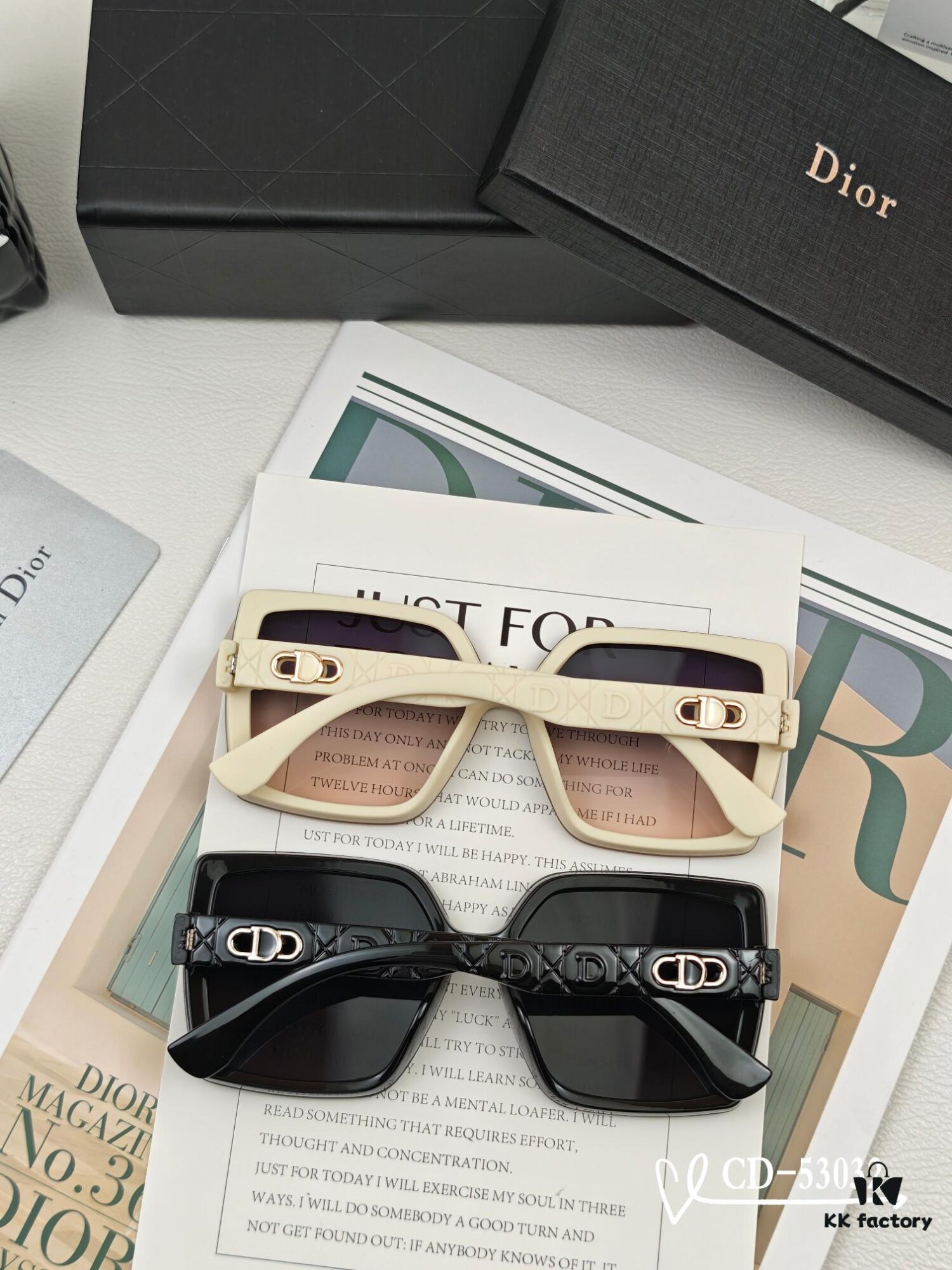 DIOR France | Polarized Sunglasses with TR90 Frame and Plutonite Lenses, Lightweight Comfortable Wear, Model: 53032