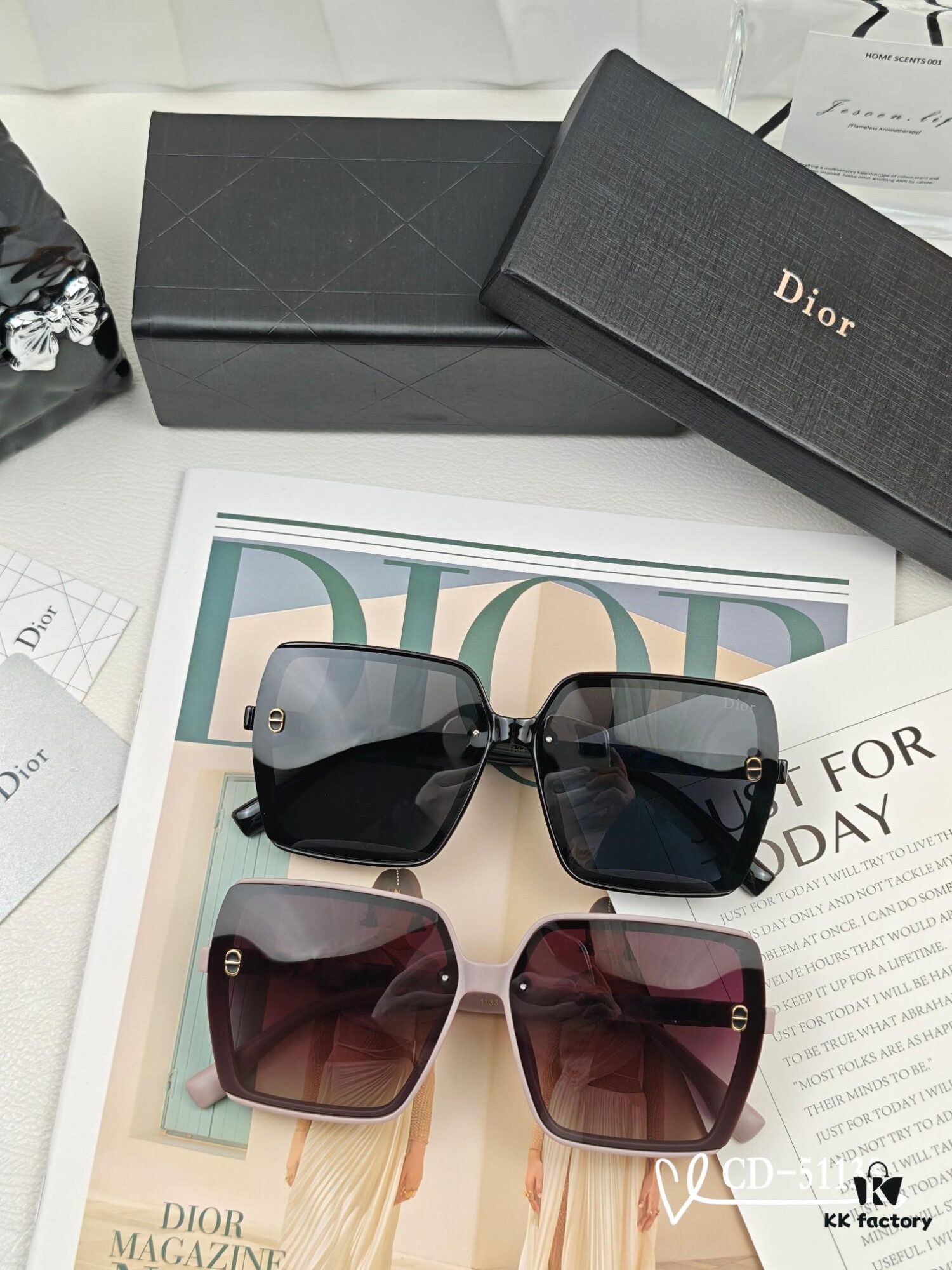 DIOR France TR90 Lightweight Sunglasses with Polarized Lenses, Model 51133