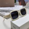 DIOR Street Snap Retro Stylish and Avant-garde Signature Unisex Square Sunglasses