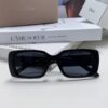 Dior 2024 Spring/Summer Sunglasses Wildio S2U Stylish Retro Square Frame UV Protection Fashionable and Comfortable Unisex Sun Glasses