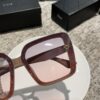 New Polarized Sunglasses Dior Retro Print Fashion Elegant Style 3004 Eyewear