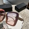 New Polarized Sunglasses Dior Retro Print Fashion Elegant Style 3004 Eyewear