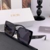 DIOR - 2025 Spring New Arrival Trendy Fashion Square Frame Sunglasses High Quality Comfortable Wear Influencer Style Shades Model: D2302