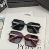 DIOR France | Polarized Sunglasses with TR90 Frame and Brand-Exclusive Style