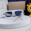 Dior 2025 Fashion New Arrival Sunglasses, High-Quality Stylish Acetate Square-Frame Women's Shades