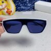 Dior 2025 Fashion New Arrival Sunglasses, High-Quality Stylish Acetate Square-Frame Women's Shades