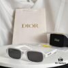 New Arrival DIOR Model: Dior Pacific S3F Sunglasses