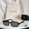 New Arrival DIOR Model: Dior Pacific S3F Sunglasses