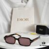 New Arrival DIOR Model: Dior Pacific S3F Sunglasses