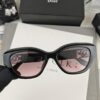 DIOR France | Polarized Sunglasses with TR90 Frame, Lightweight and Comfortable – Model 58049