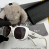 【DIOR - Dior】2025 Spring New Arrival Trendy Fashion Square Polarized Sunglasses High Quality Comfortable Fit Influencer Favorite Sunglasses Model: D8106