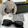 【DIOR】2025 Spring New Arrival Trendy Fashion Square Polarized Sunglasses High Quality Comfortable Wear Influencer Popular Style Model: D2111
