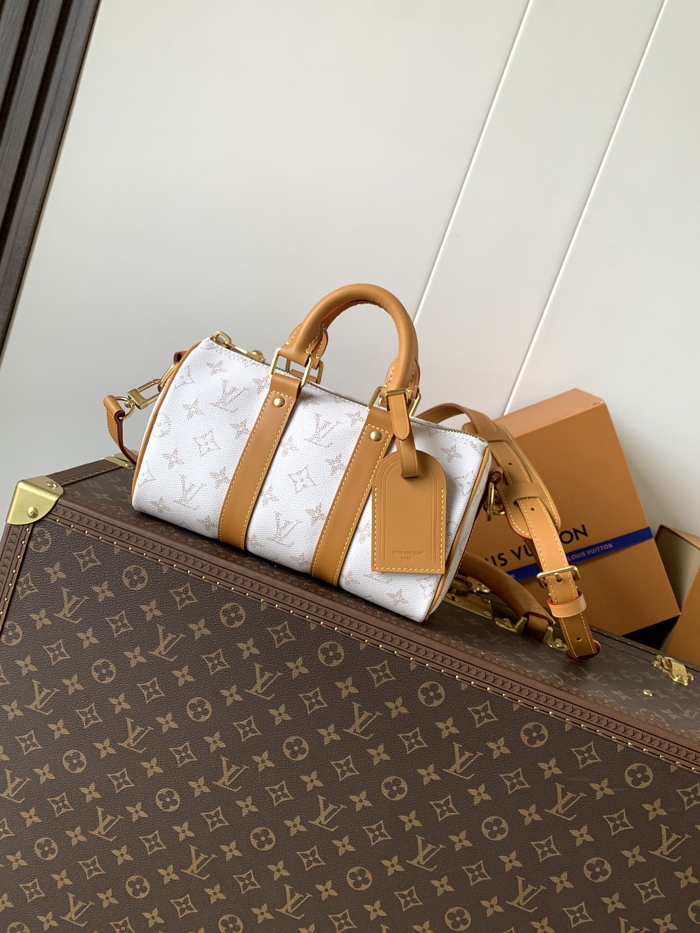 Louis Vuitton KEEALL BANDOULIÈRE 25 Handbag