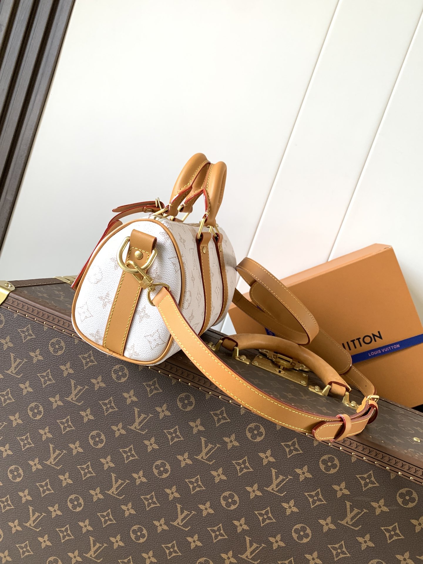 Louis Vuitton KEEALL BANDOULIÈRE 25 Handbag