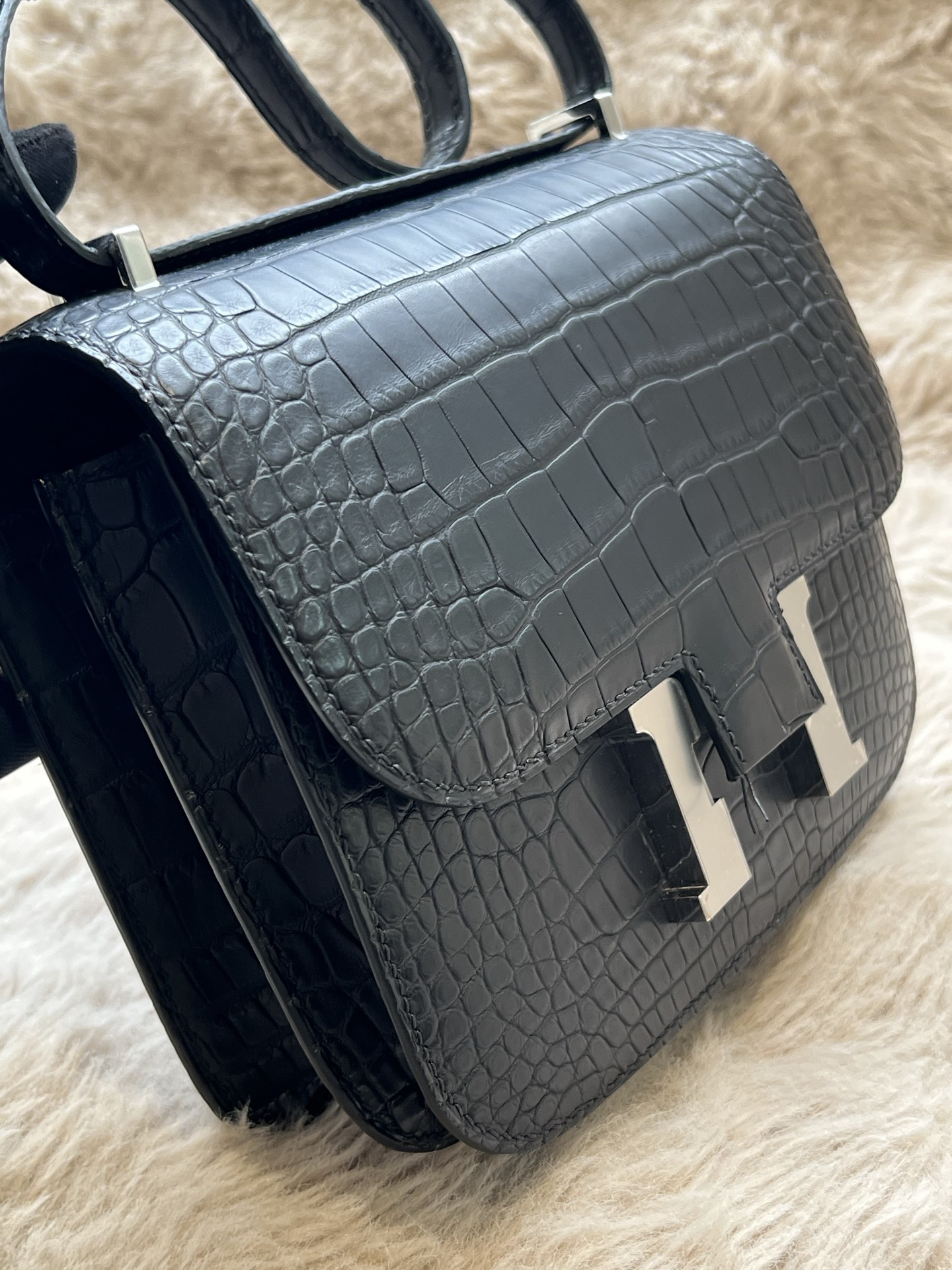 American Alligator  Original HCP  Black Silver Buckle Conscious 19