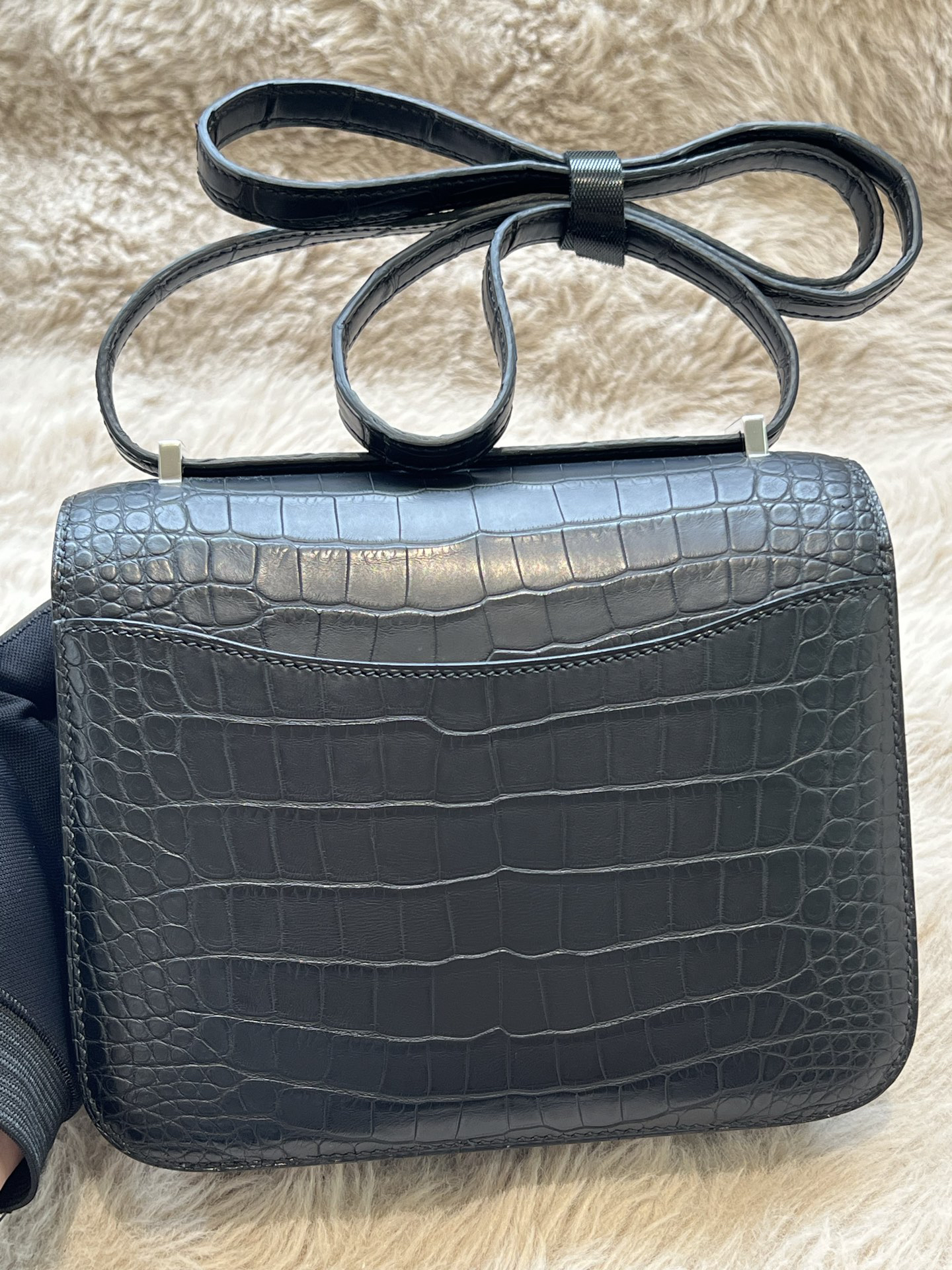 American Alligator  Original HCP  Black Silver Buckle Conscious 19