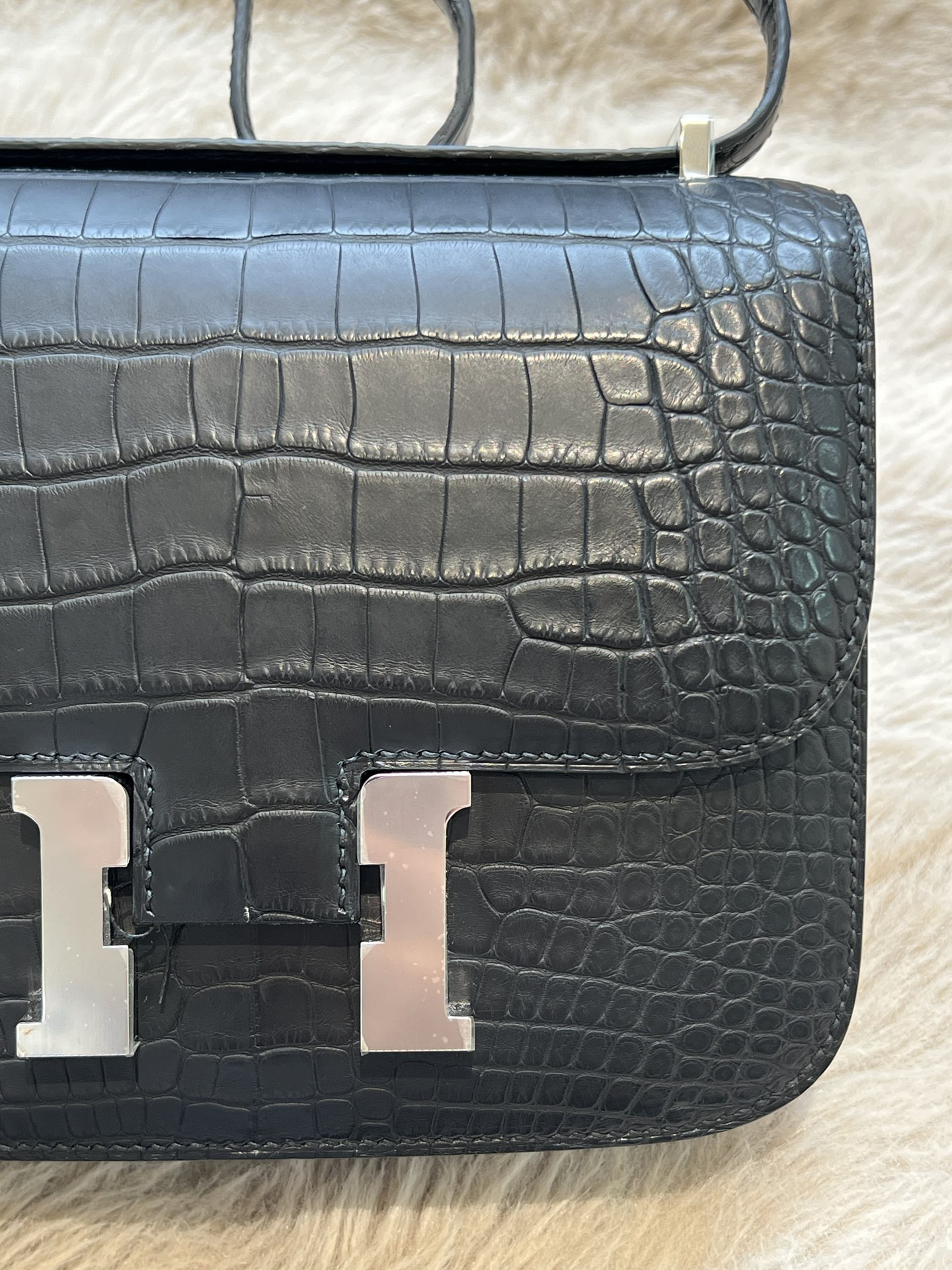 American Alligator  Original HCP  Black Silver Buckle Conscious 19