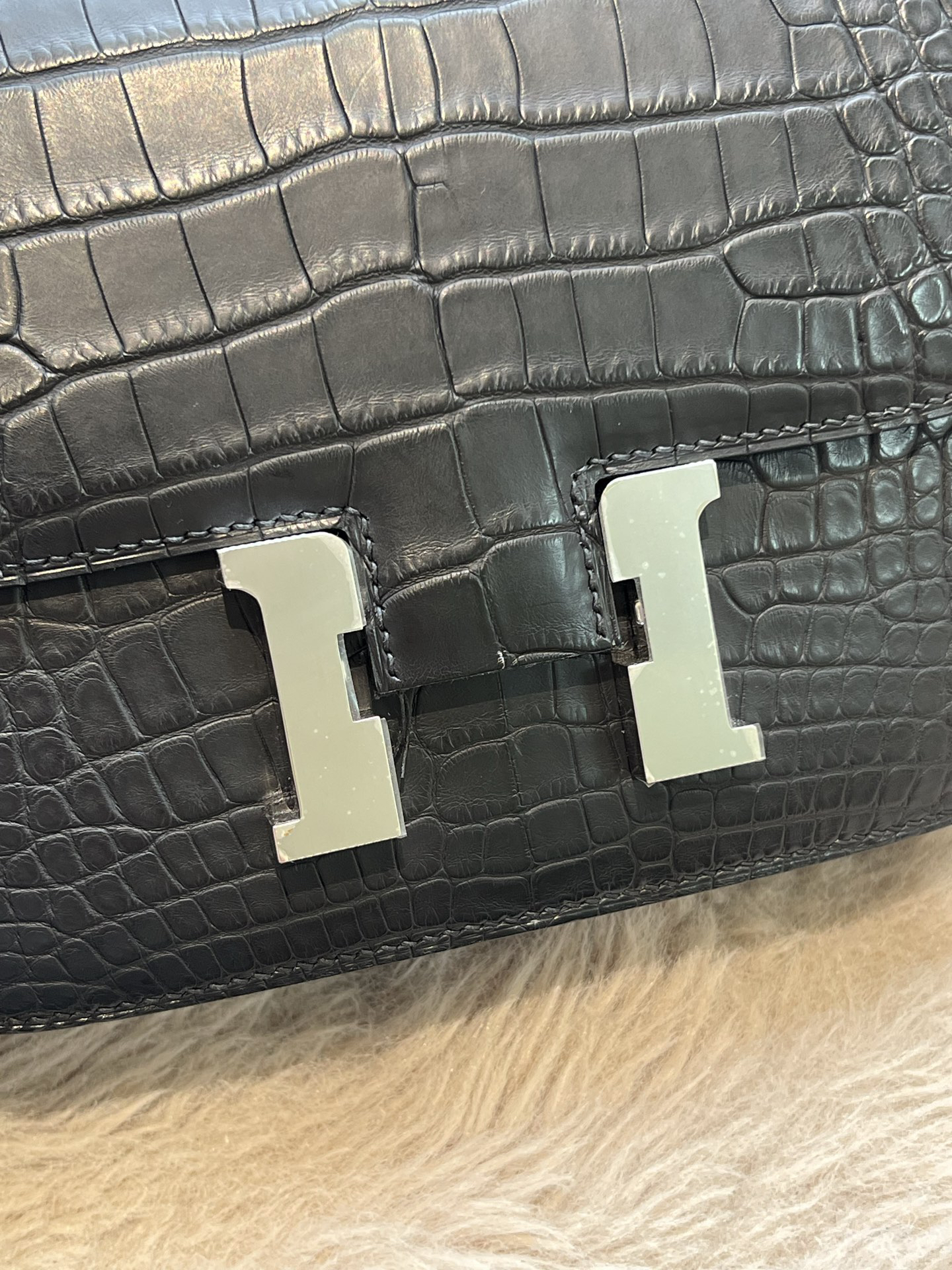 American Alligator  Original HCP  Black Silver Buckle Conscious 19