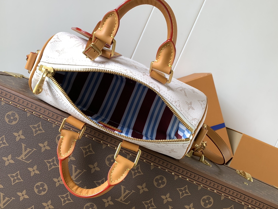 Louis Vuitton KEEALL BANDOULIÈRE 25 Handbag