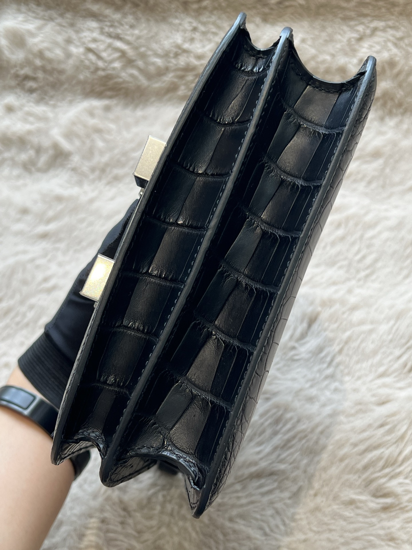 American Alligator  Original HCP  Black Silver Buckle Conscious 19