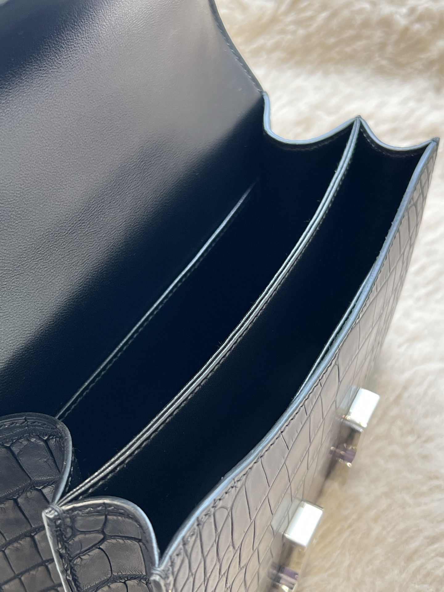 American Alligator  Original HCP  Black Silver Buckle Conscious 19