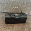CHANEL VINTAGE Pearlescent Handbag