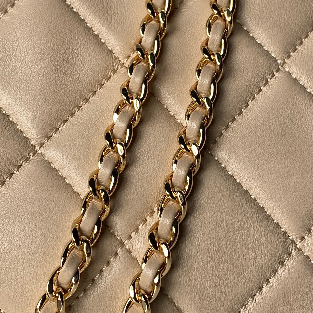 Chanel ❤️ Spring/Summer 2026 Collection Small Shoing Bag ✅