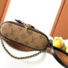 Louis Vuitton New Vanity Chain Pouch Handbag