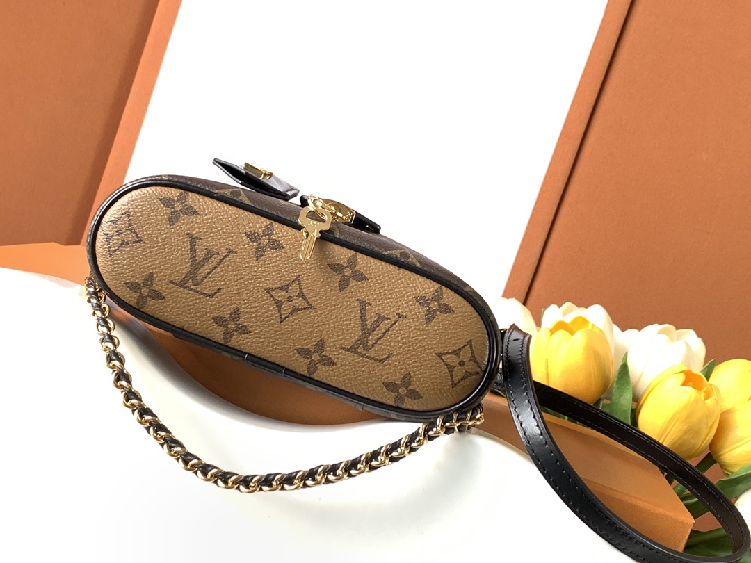 Louis Vuitton New Vanity Chain Pouch Handbag