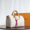 Louis Vuitton SPEEDY SOFT 30 DARK handbag M15108
