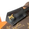 Louis Vuitton New Vanity Chain Pouch Handbag