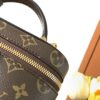Louis Vuitton New Vanity Chain Pouch Handbag